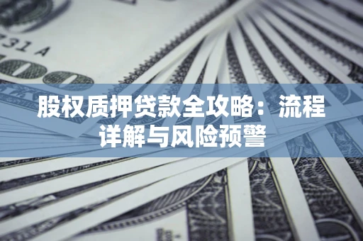 北京股权质押贷款全攻略：流程详解与风险预警