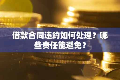 北京借款合同违约如何处理？哪些责任能避免？